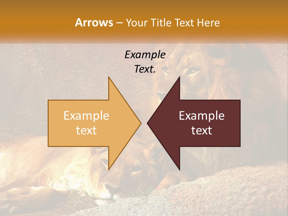 Modern Tall Environment PowerPoint Template