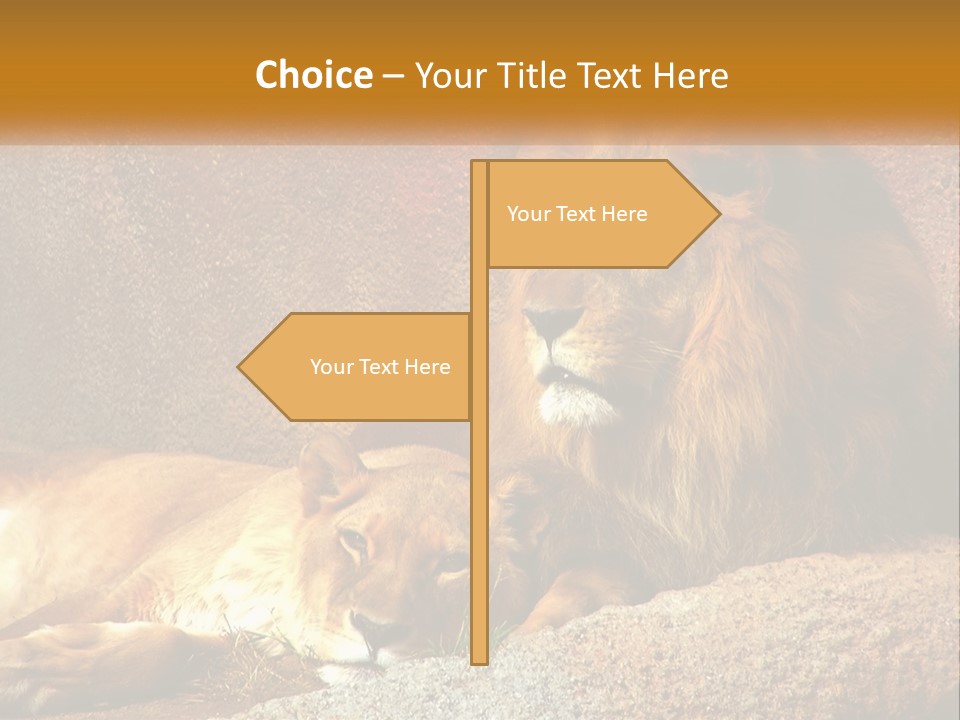 Modern Tall Environment PowerPoint Template