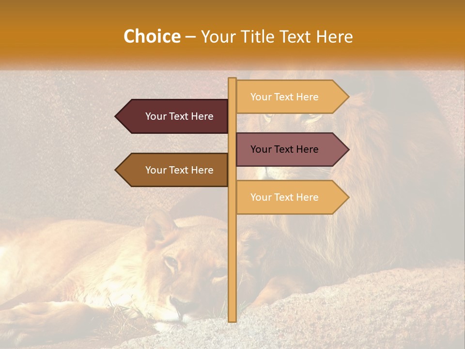 Modern Tall Environment PowerPoint Template