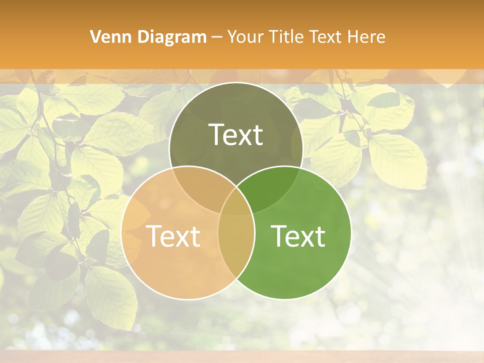 Metropolis Light Black PowerPoint Template