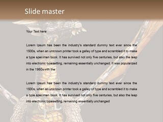 Concept Construction Render PowerPoint Template