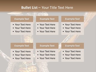 Concept Construction Render PowerPoint Template