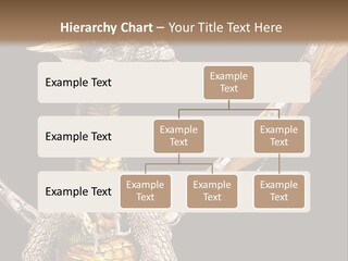 Concept Construction Render PowerPoint Template
