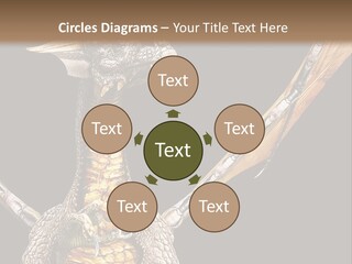 Concept Construction Render PowerPoint Template