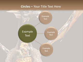 Concept Construction Render PowerPoint Template