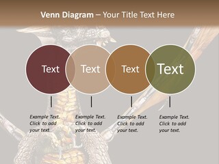 Concept Construction Render PowerPoint Template