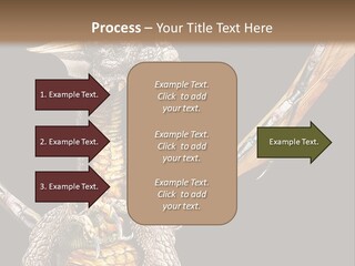 Concept Construction Render PowerPoint Template
