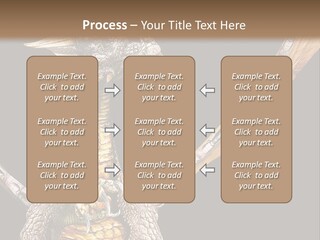 Concept Construction Render PowerPoint Template