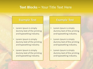 Earth Town Illustration PowerPoint Template