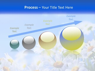 Abstract Black Cityscape PowerPoint Template