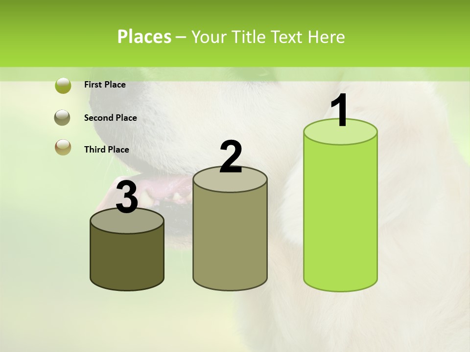 World View Graphic PowerPoint Template