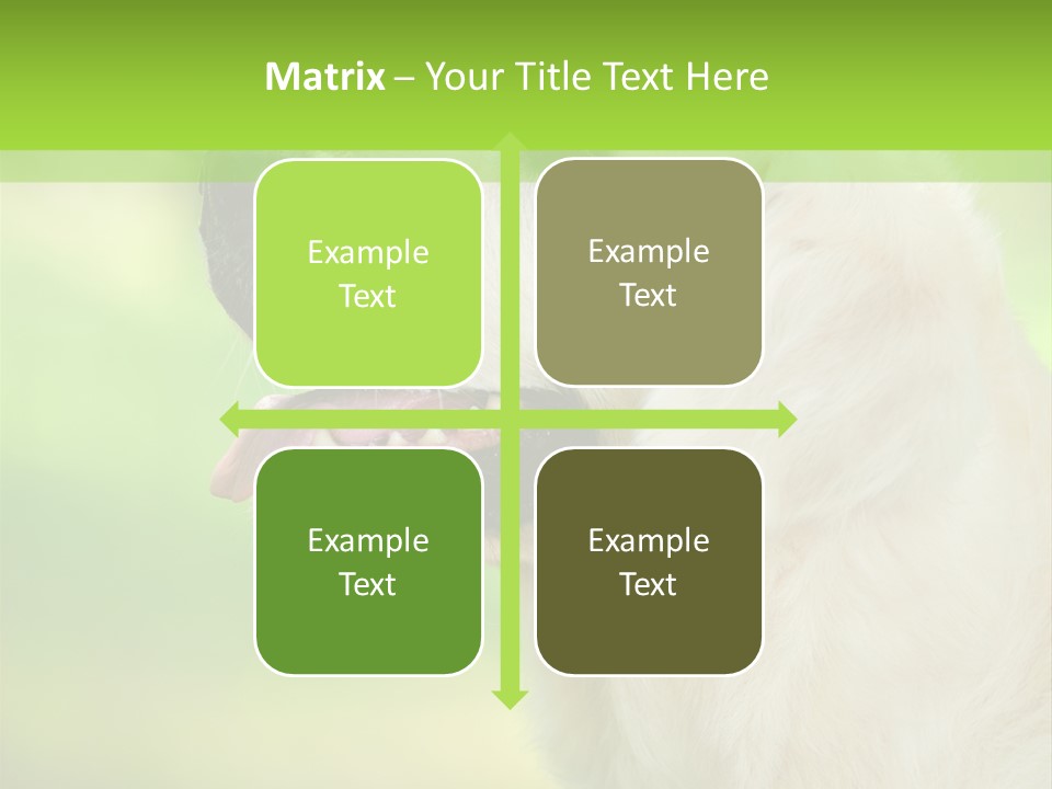 World View Graphic PowerPoint Template