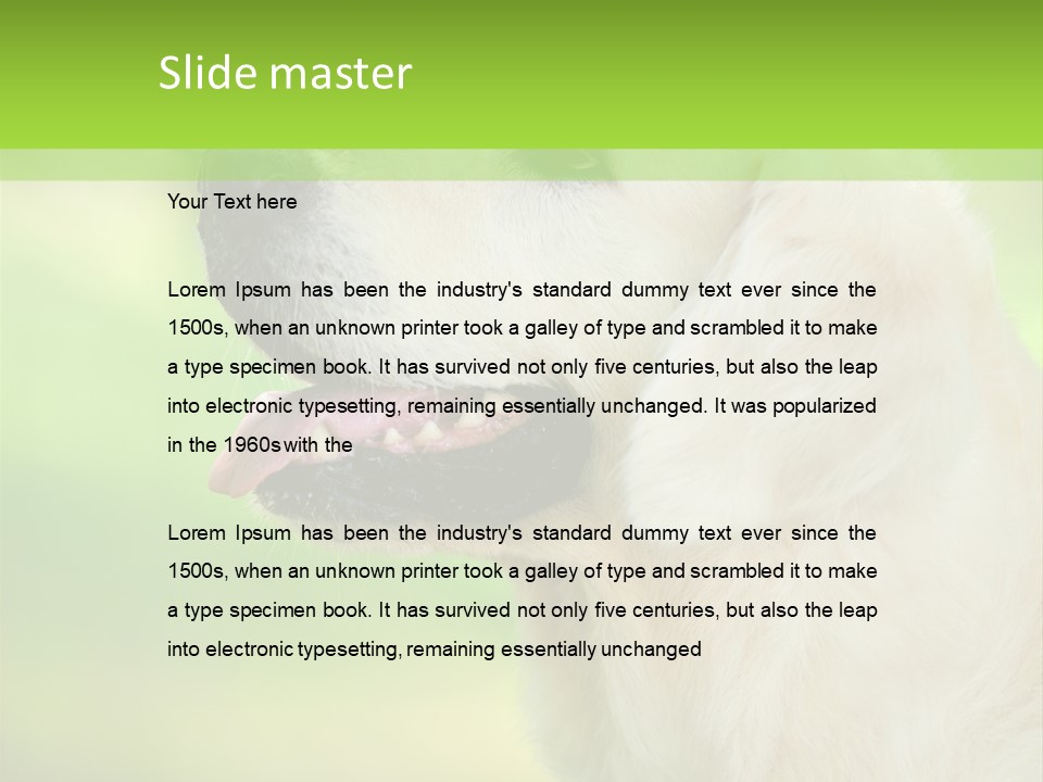 World View Graphic PowerPoint Template