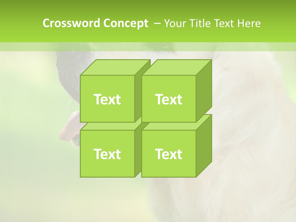 World View Graphic PowerPoint Template