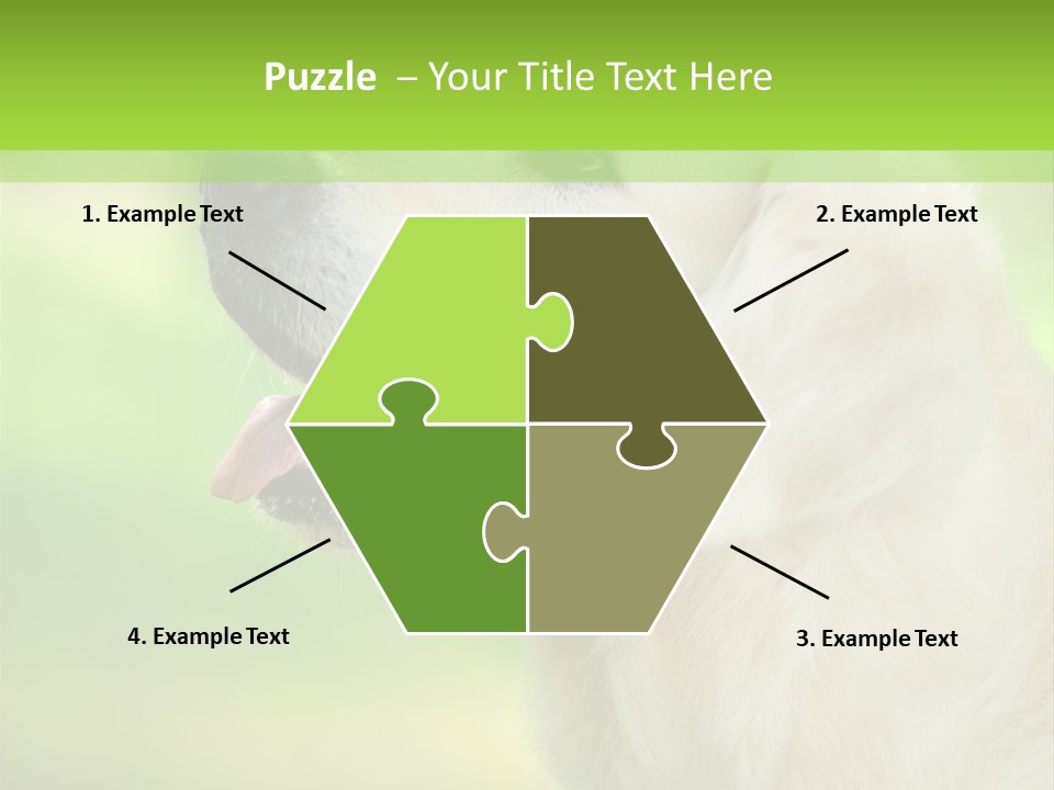 World View Graphic PowerPoint Template