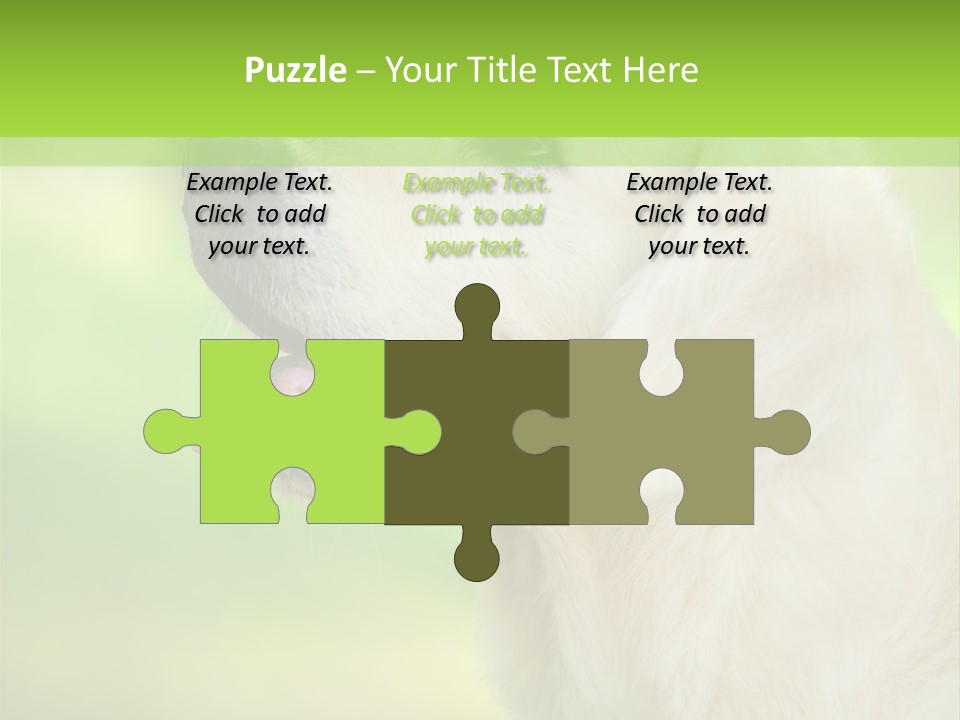 World View Graphic PowerPoint Template