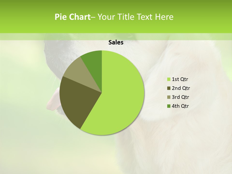 World View Graphic PowerPoint Template