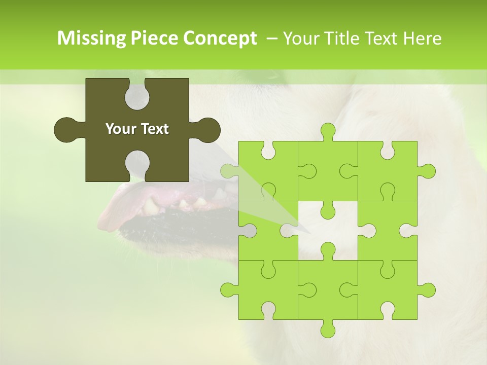 World View Graphic PowerPoint Template