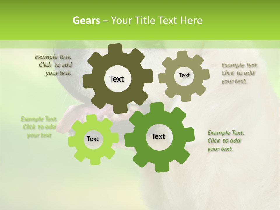 World View Graphic PowerPoint Template