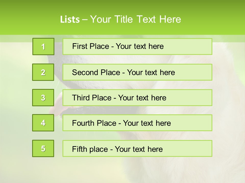 World View Graphic PowerPoint Template