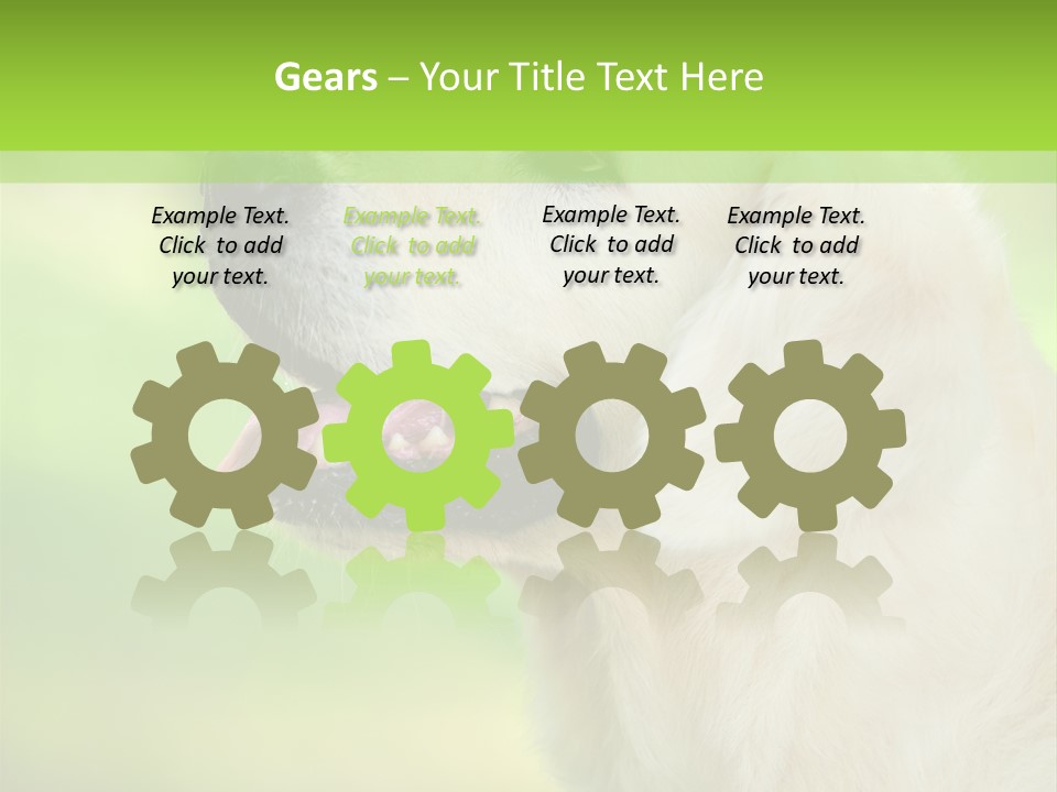 World View Graphic PowerPoint Template