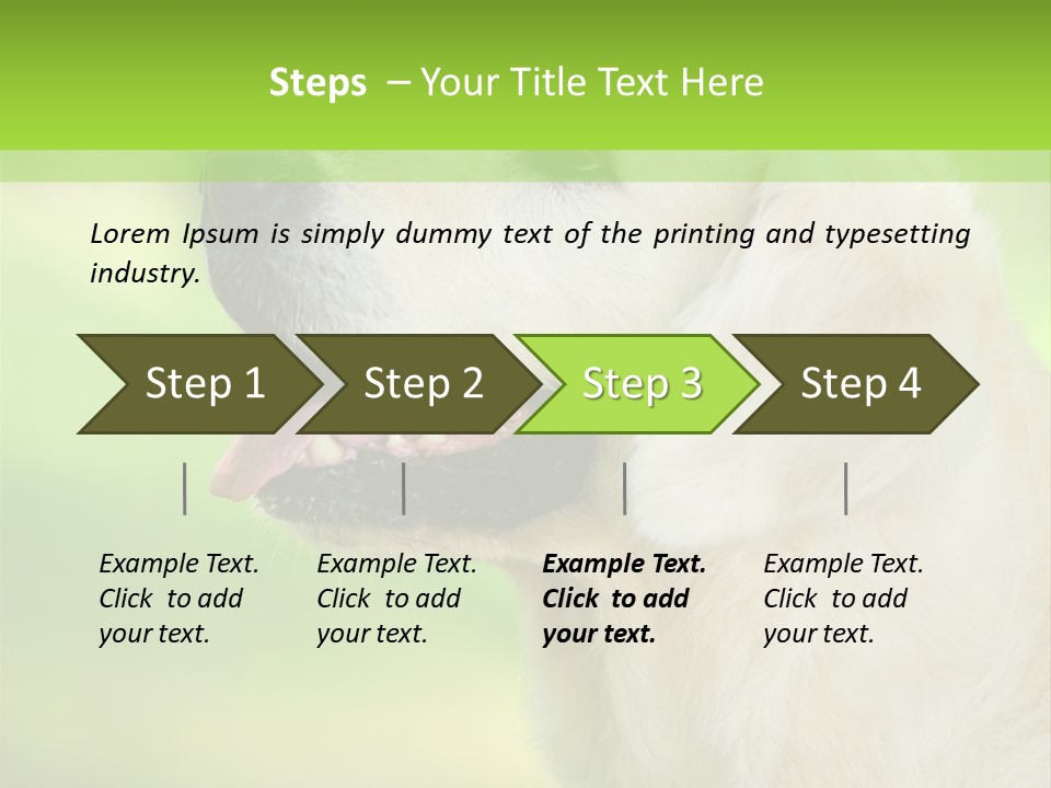 World View Graphic PowerPoint Template
