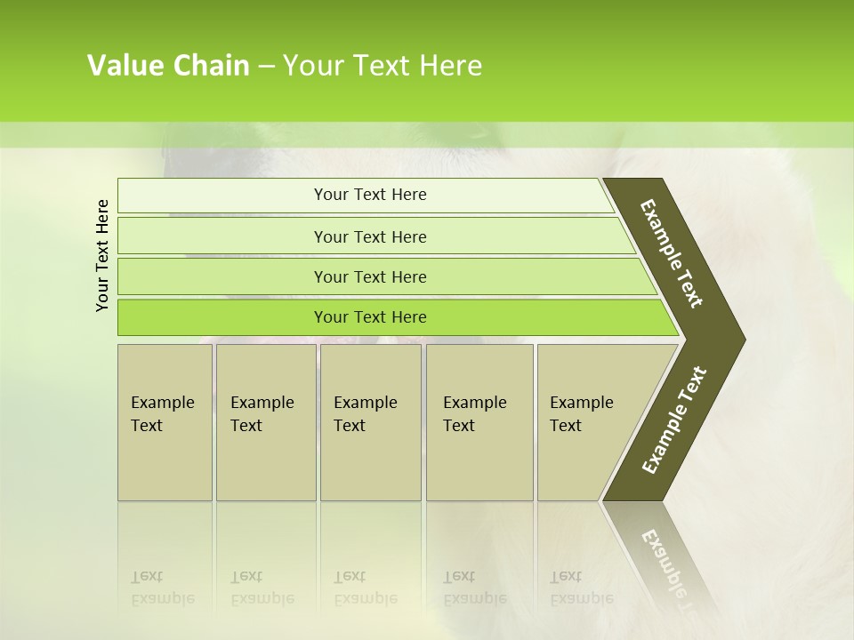World View Graphic PowerPoint Template