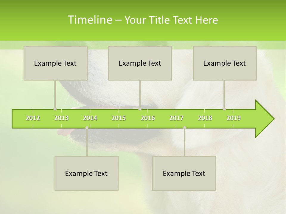 World View Graphic PowerPoint Template