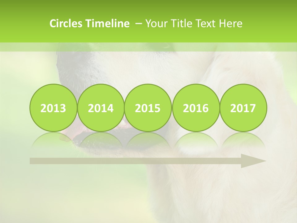 World View Graphic PowerPoint Template