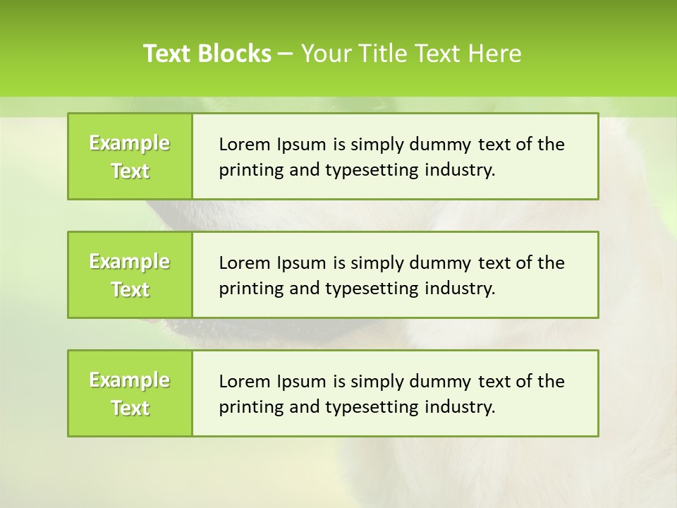 World View Graphic PowerPoint Template
