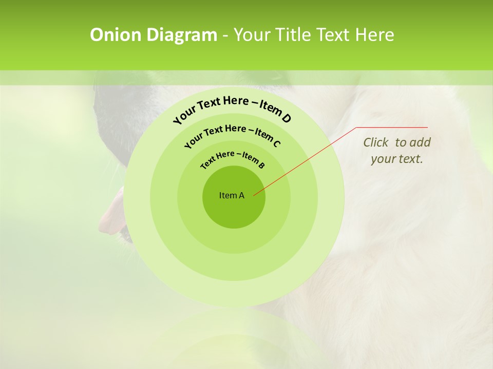 World View Graphic PowerPoint Template