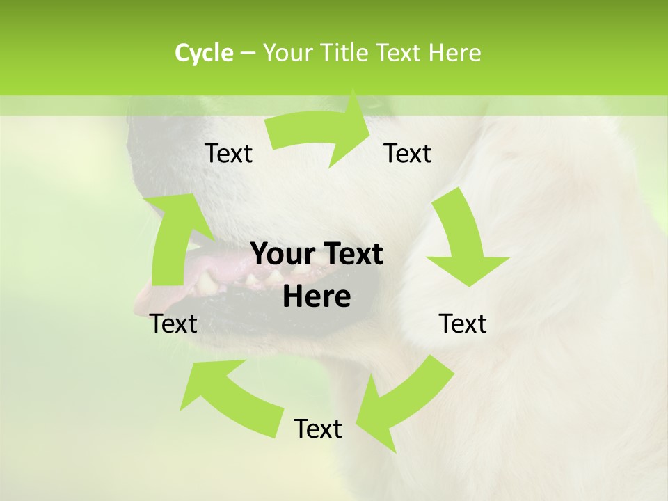 World View Graphic PowerPoint Template