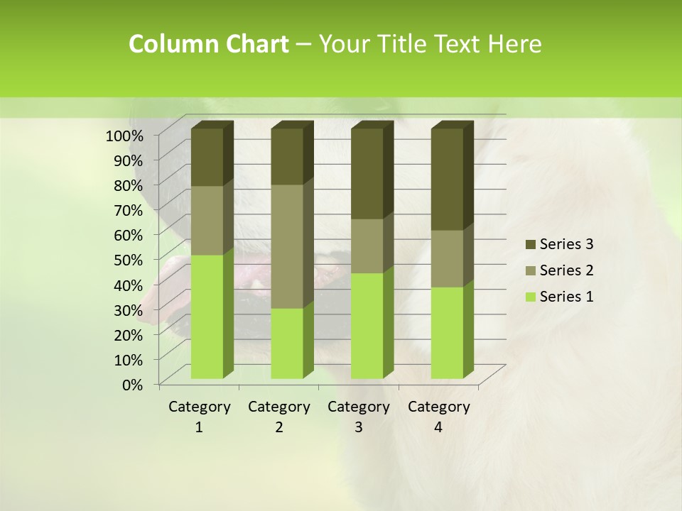 World View Graphic PowerPoint Template