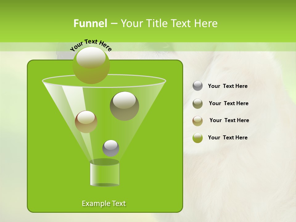 World View Graphic PowerPoint Template