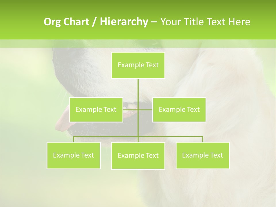World View Graphic PowerPoint Template