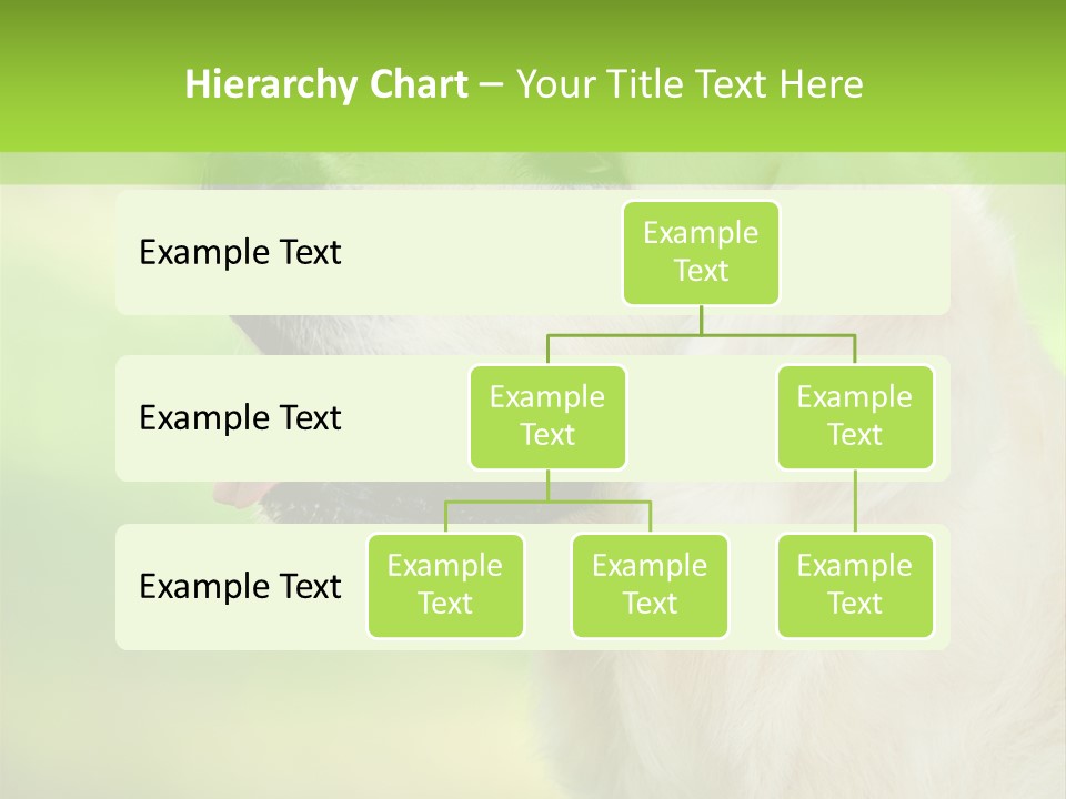 World View Graphic PowerPoint Template