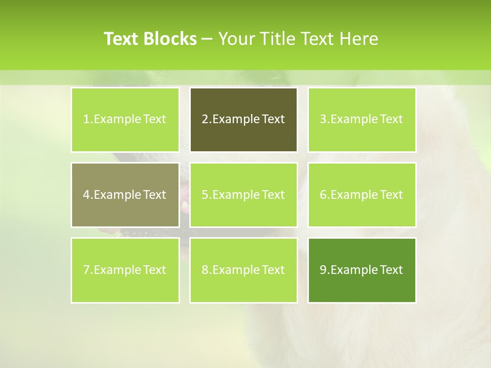 World View Graphic PowerPoint Template