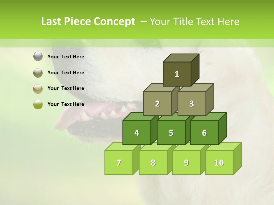 World View Graphic PowerPoint Template