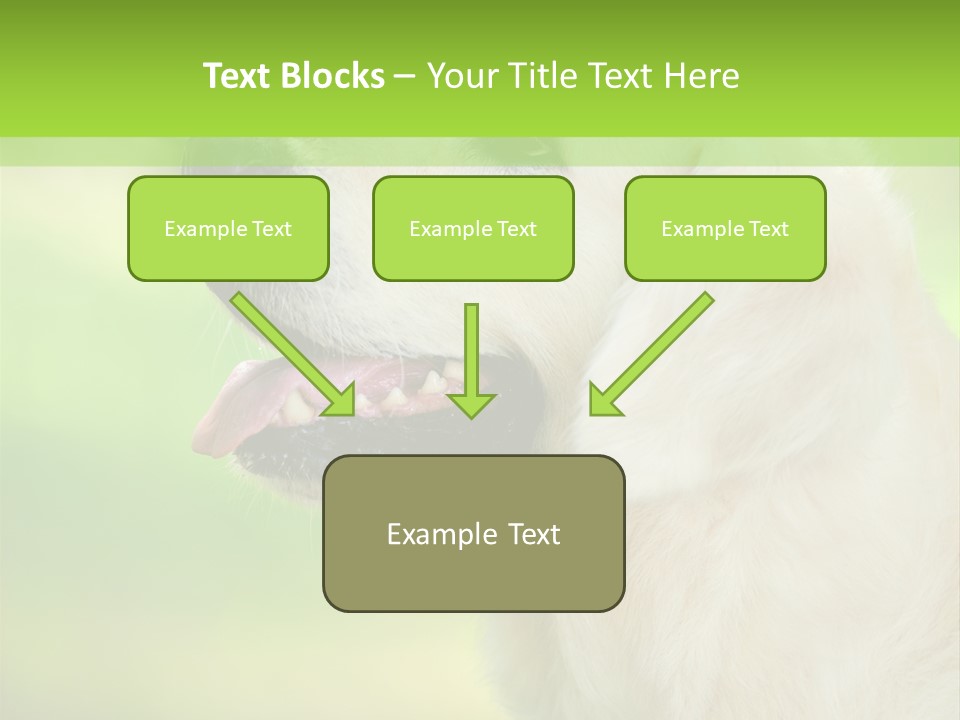 World View Graphic PowerPoint Template
