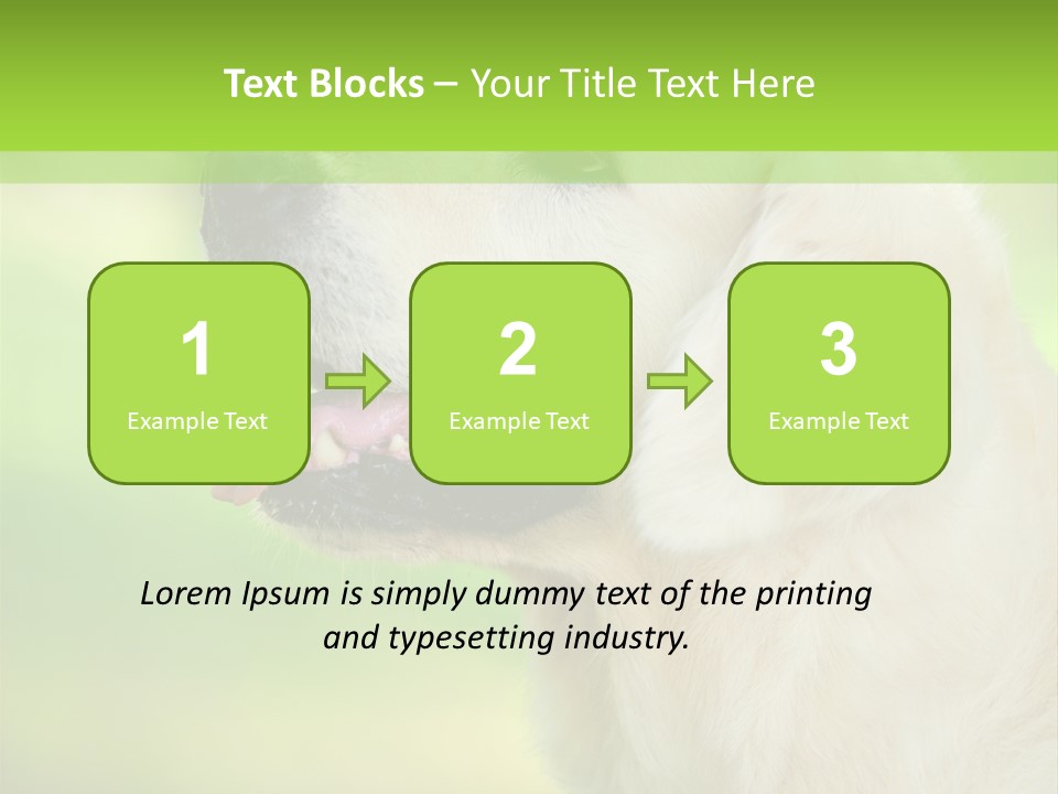 World View Graphic PowerPoint Template