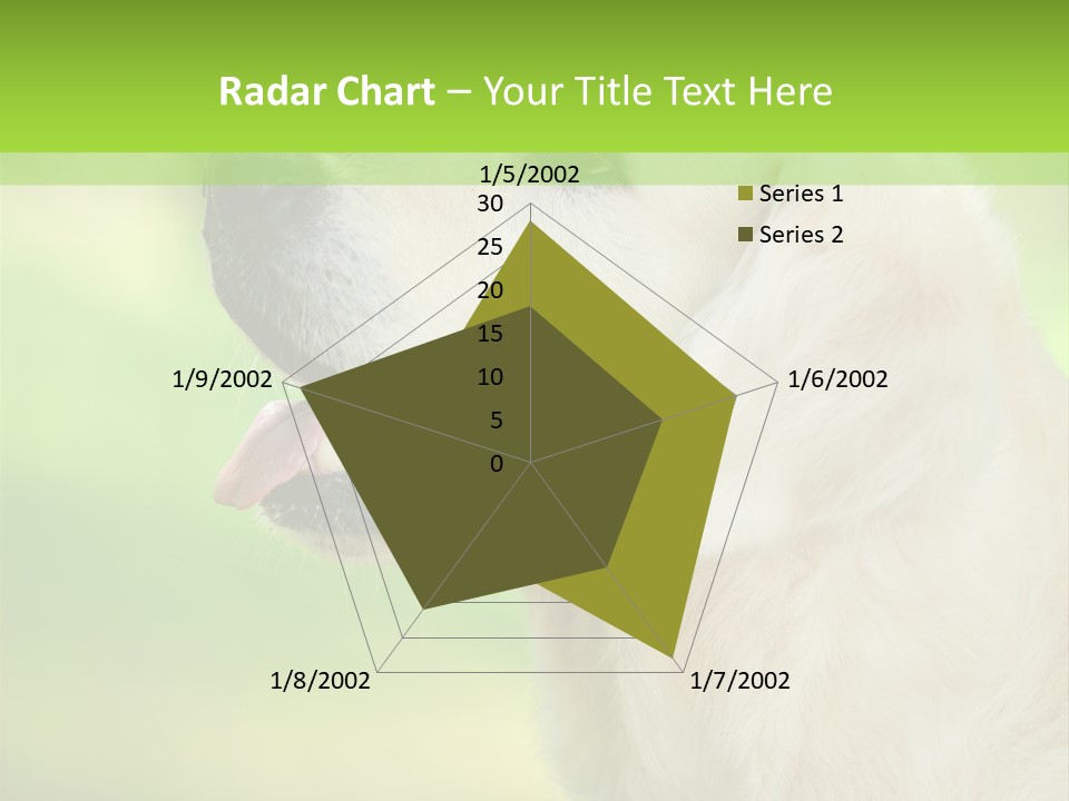 World View Graphic PowerPoint Template