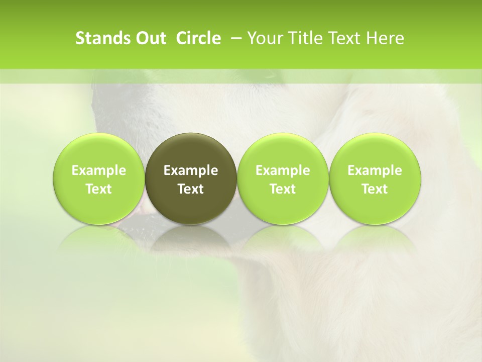 World View Graphic PowerPoint Template