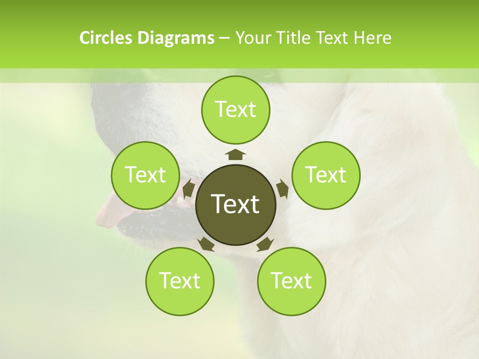 World View Graphic PowerPoint Template