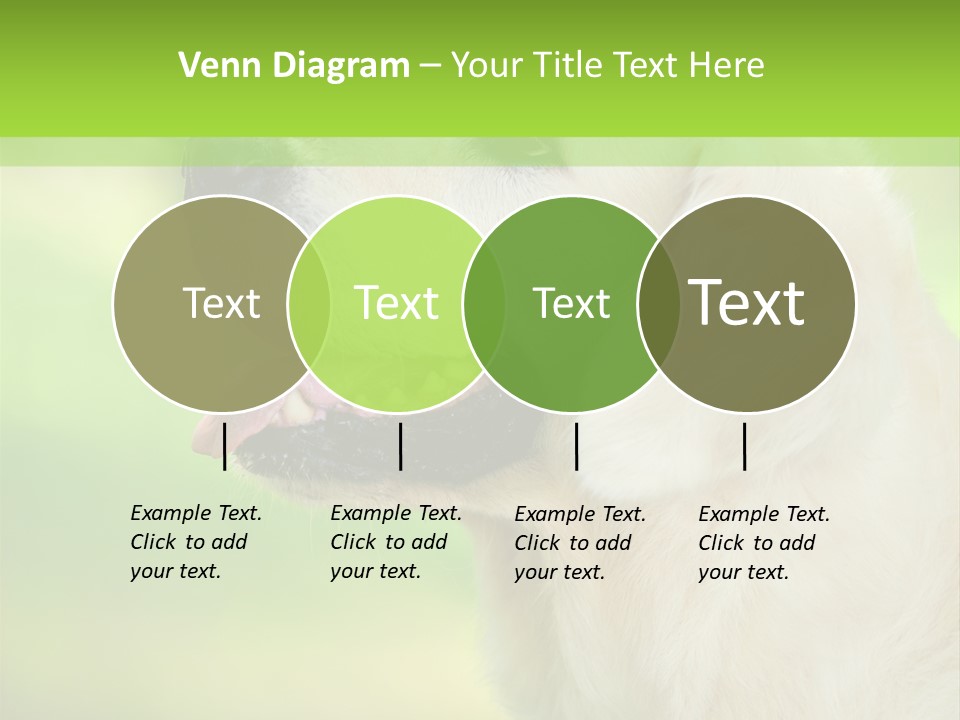 World View Graphic PowerPoint Template