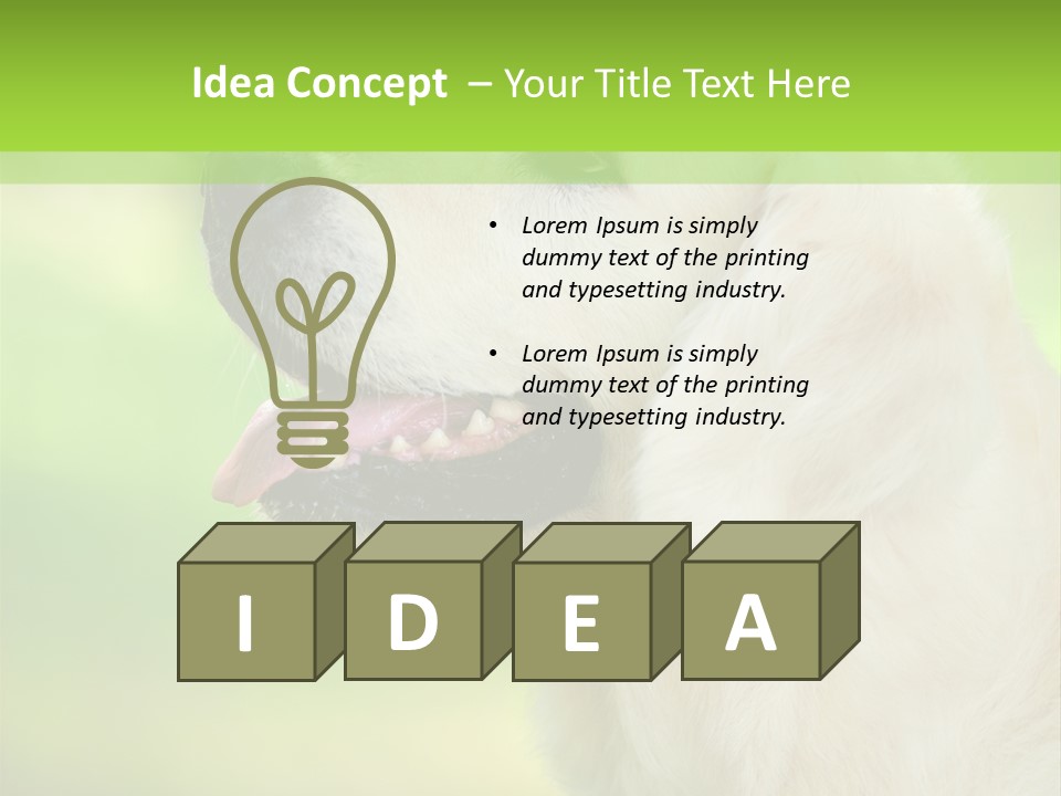 World View Graphic PowerPoint Template