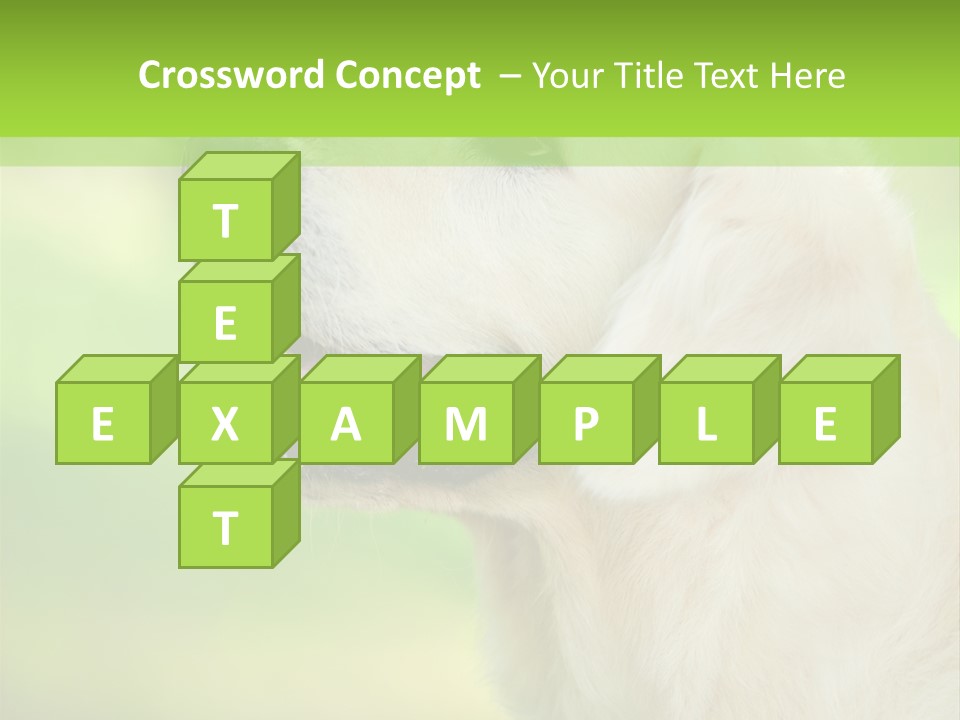World View Graphic PowerPoint Template