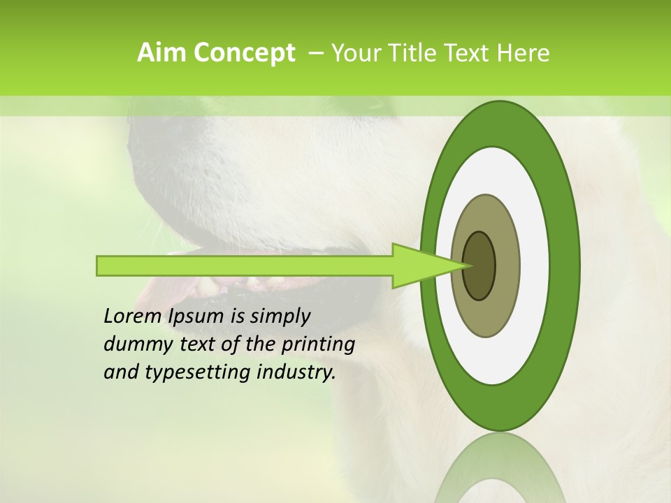 World View Graphic PowerPoint Template