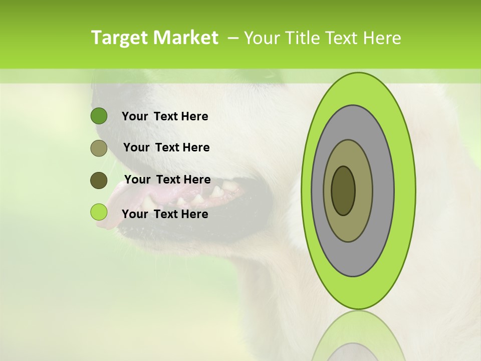 World View Graphic PowerPoint Template