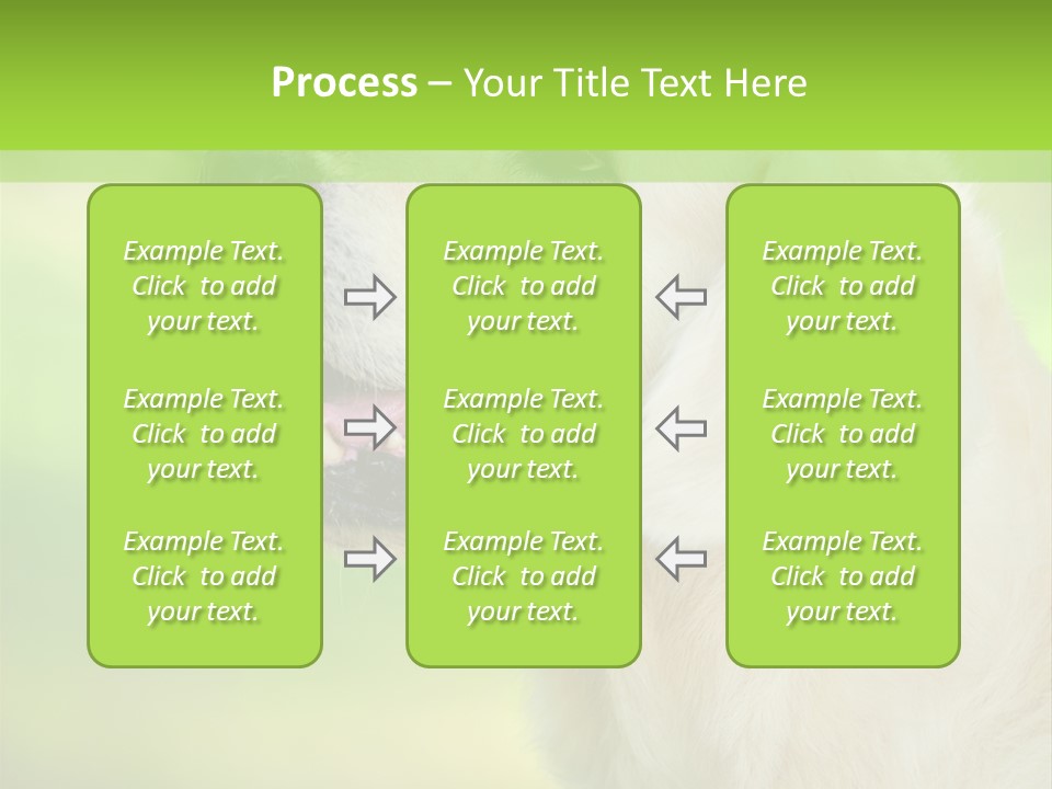 World View Graphic PowerPoint Template