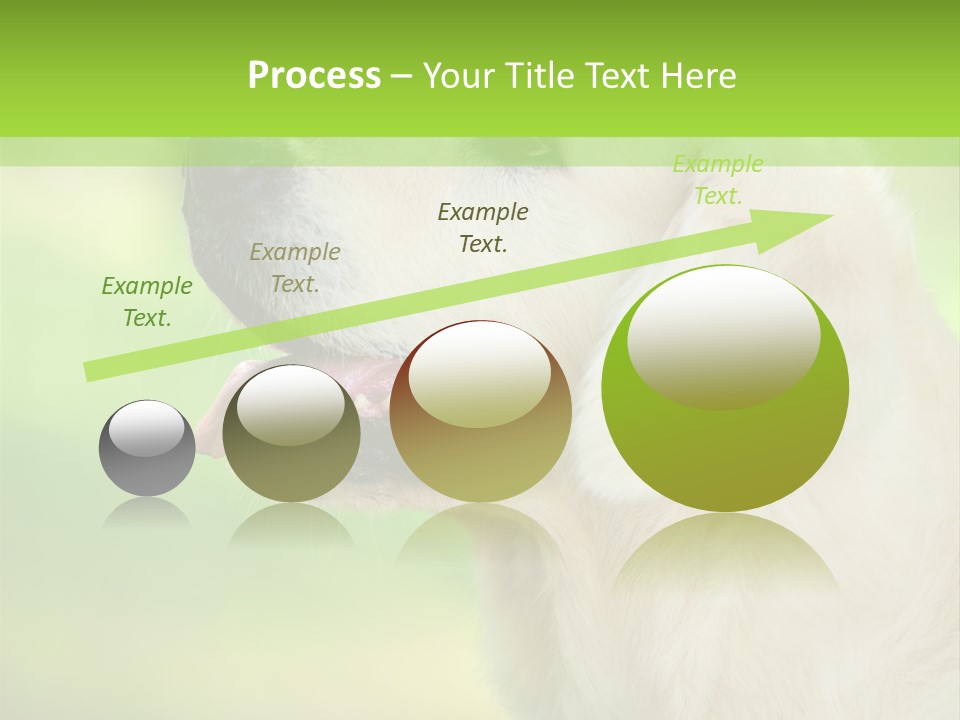 World View Graphic PowerPoint Template